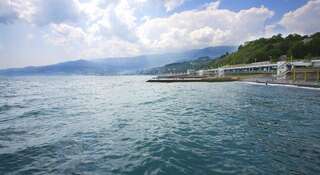 Апартаменты Эллинг Светлана Ялта-0